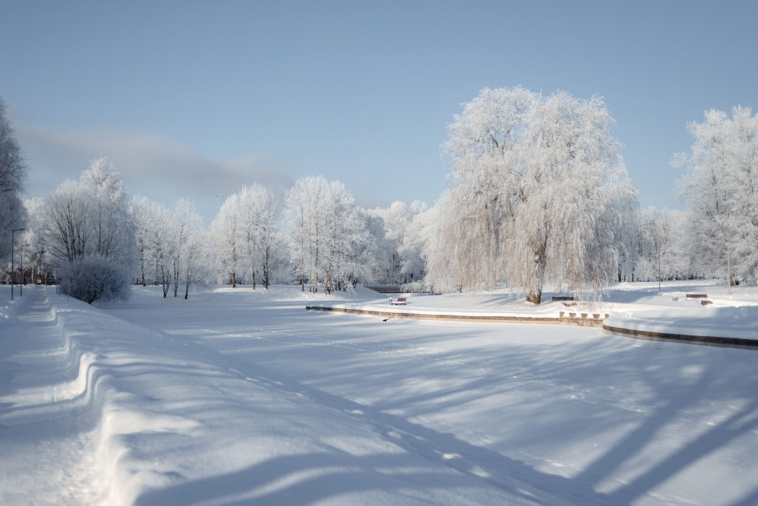 Winter landscape with frosted trees and a frozen pond in warm light