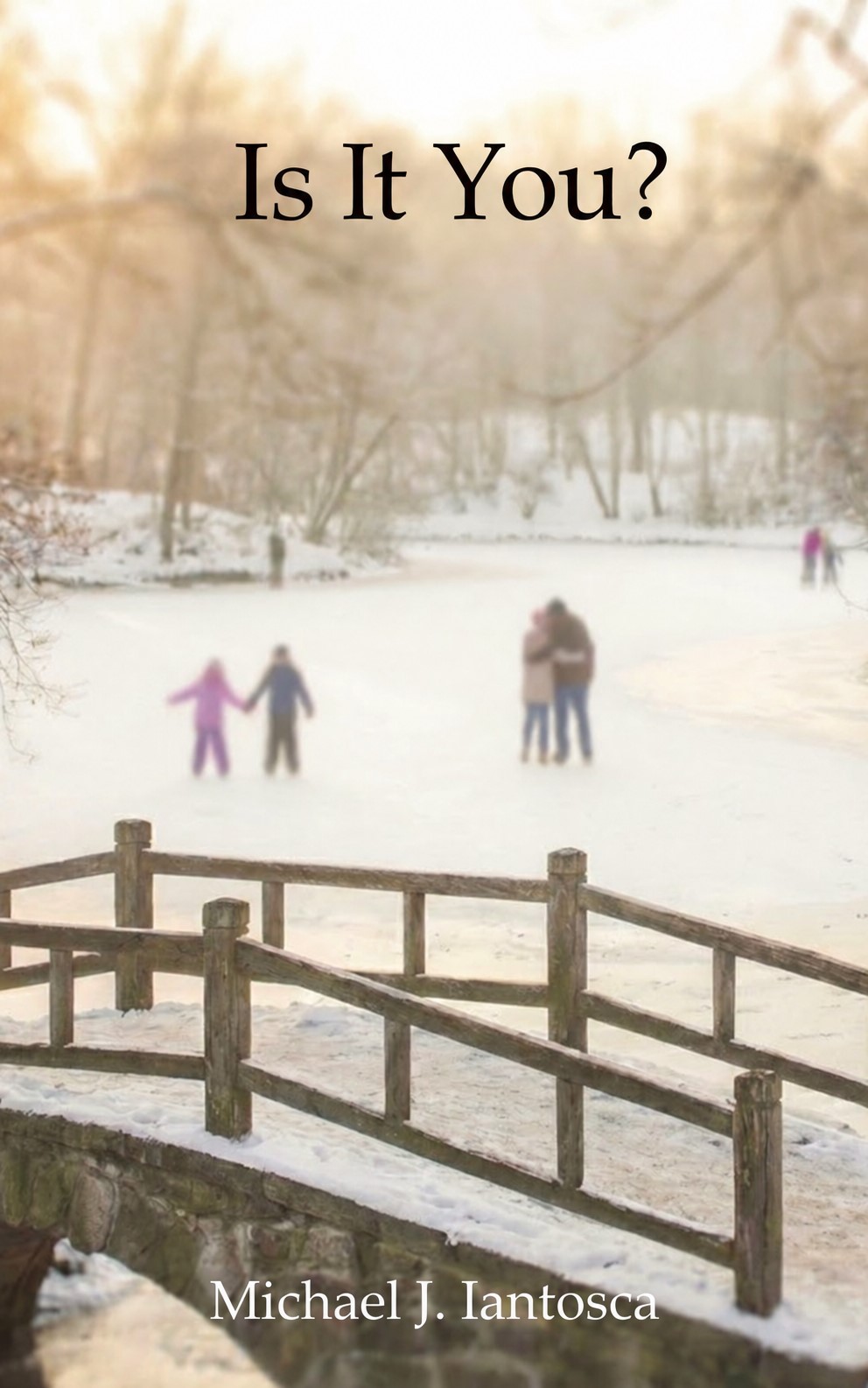 Cover of Is It You? by Michael J. Iantosca, showing a snowy pond and wooden footbridge